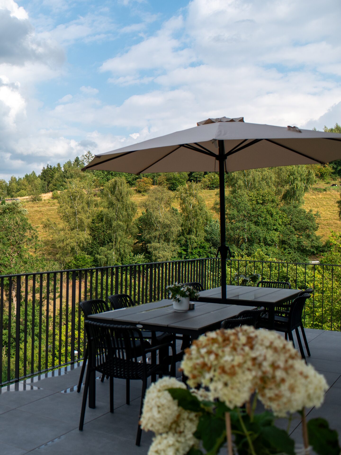 Terrassen-Balkon mit langem Esstisch und Blick ins Elpetal